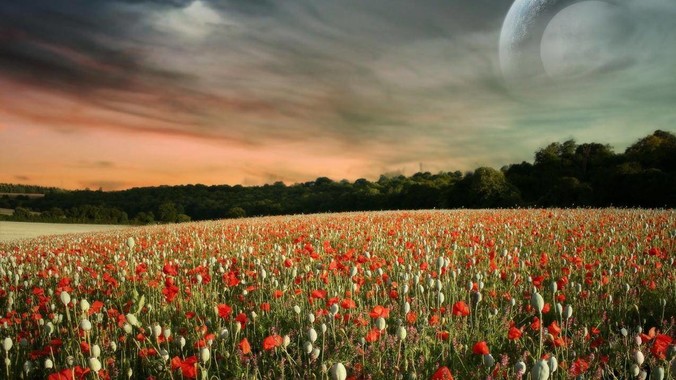 家里想搞一个服务器，怎么才不违规？